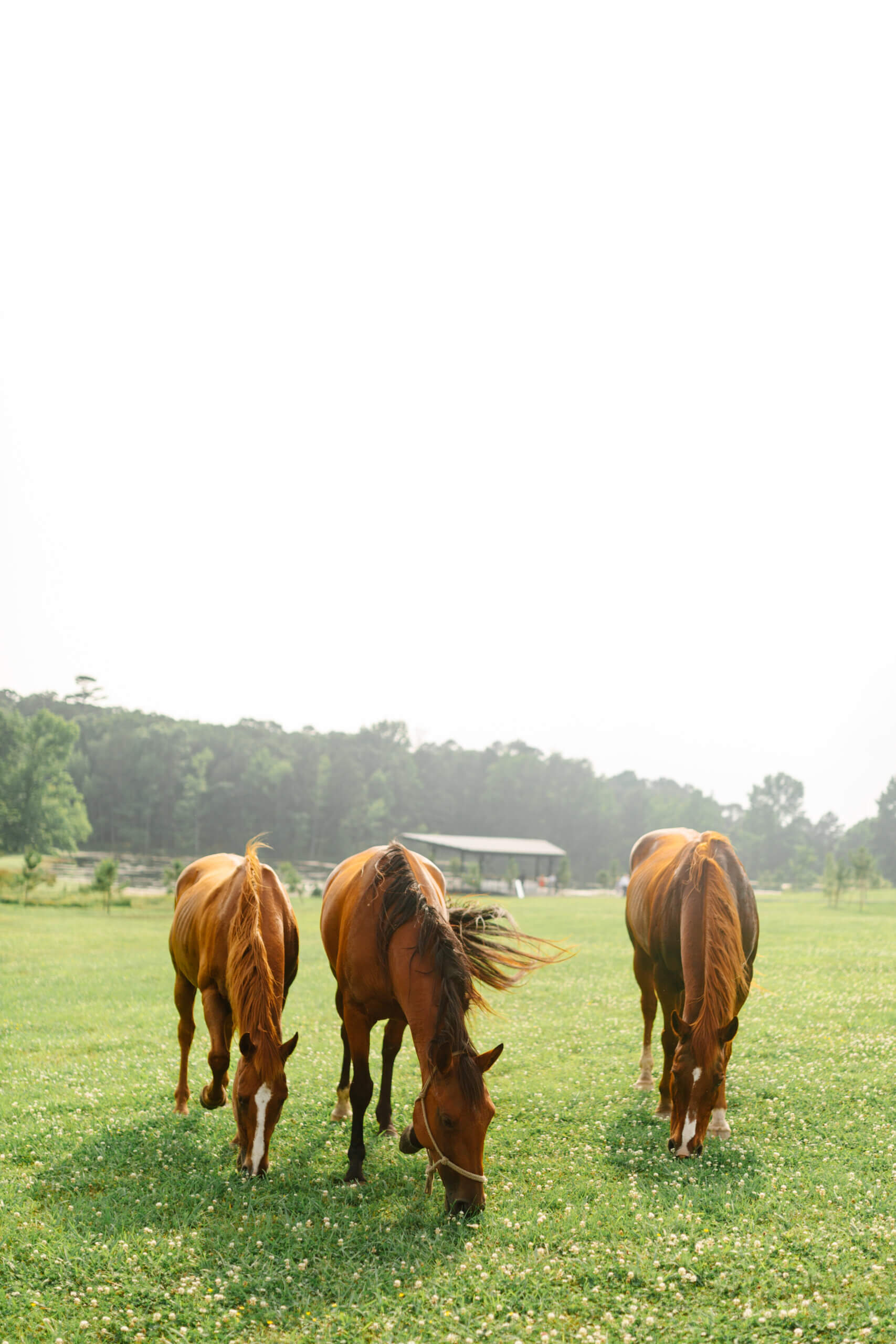 Eric+Caroline-Wedding-339
